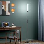 Ambimall Remote Control LED Floor Lamp - 65