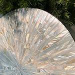 TEIPAI 3PCS Coastal Mother of Pearl Wall Decor