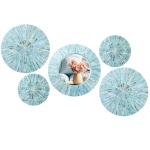 5 Pcs Natural Mother of Pearl Wall Decor