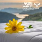 Sleepy Town Queen Size Bed Sheet Set