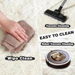 Soft Shaggy Area Rug 8x10 for Living Room