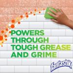 Fantastik All Purpose Cleaner, 32 Fl Oz