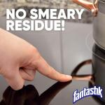 Fantastik All Purpose Cleaner, 32 Fl Oz