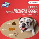 Resolve Heavy Traffic Foam Pet Stain Remover 22oz