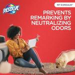 Resolve Heavy Traffic Foam Pet Stain Remover 22oz