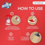 Resolve Heavy Traffic Foam Pet Stain Remover 22oz