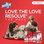 Resolve Heavy Traffic Foam Pet Stain Remover 22oz