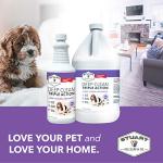 Stuart Pet Supply Deep Clean Carpet Cleaner Gallon
