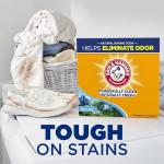 ARM & HAMMER Alpine Clean Powder Laundry Detergent