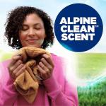 ARM & HAMMER Alpine Clean Powder Laundry Detergent