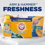 ARM & HAMMER Alpine Clean Powder Laundry Detergent