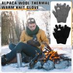 Alpaca Wool Touch Screen Winter Gloves - 2 Pairs