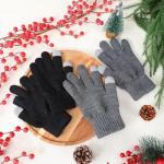 Alpaca Wool Touch Screen Winter Gloves - 2 Pairs