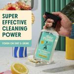 Aunt Fannie's Vinegar Multi-Surface Cleaner, Lemon Scent