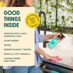 Aunt Fannie's Vinegar Multi-Surface Cleaner, Lemon Scent