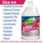 OdoBan Pet Solutions No Rinse Floor Cleaner