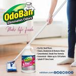 OdoBan Pet Solutions No Rinse Floor Cleaner