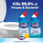 Clorox Toilet Bowl Cleaner with Bleach, 4 Pack