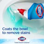 Clorox Toilet Bowl Cleaner with Bleach, 4 Pack