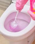 Pink Stuff Miracle Toilet Cleaner - 750ml Gel