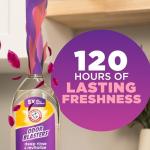 ARM & HAMMER Odor Blasters Fabric Rinse, 50 fl oz