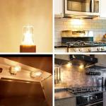 WokHok 25W High Temp Microwave Bulbs, 8 Pack