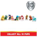 Paw Patrol 10th Anniversary Action Figures Gift Pack
