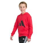 adidas Boys' Long Sleeve Big Logo Fleece Hoodie