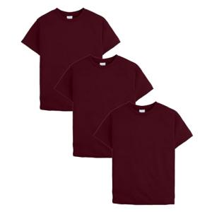 Hanes Boys' EcoSmart Maroon Tee 3-Pack