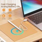 Stylus Pen for iPad with Fast Charge & Tilt