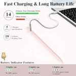 Stylus Pen for iPad with Fast Charge & Tilt