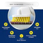 Carbona Oxy-Powered Carpet Spot Cleaner 13.5oz