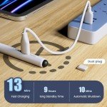 Apple iPad Stylus Pen with Fast Charge