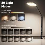 LitONES Dimmable LED Desk Lamp with Timer