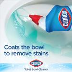 Clorox Toilet Bowl Cleaner, Rain Clean, 24 oz Bundle