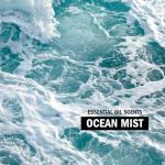 Molly's Suds Ocean Mist Liquid Laundry Detergent