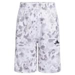 adidas Boys' Camo Elastic Waist Shorts, White/Grey