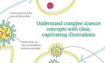 Visual Learning: Illustrated Biology Guide for Everyone