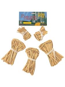 Wizard of Oz Scarecrow Accessory Kit