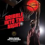 Glow in The Dark Light Up Basketball