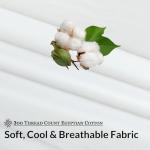 Soft Cotton Stripe Sheet Set - 4 Pieces