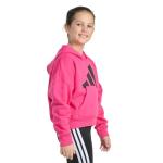 adidas Girls Colorblock Pink Hooded Sweatshirt