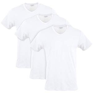Gildan Men's Arctic White V-Neck T-Shirt 3-Pack