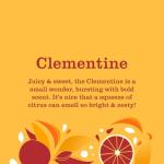 Mrs. Meyer's Clementine Multi-Surface Cleaner