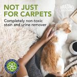 Pet Stain and Odor Remover - Enzyme Cleaner