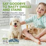 Pet Stain and Odor Remover - Enzyme Cleaner