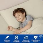 Threads Linen Queen Size 1000 TC 4 Piece Sheet Set 100% Egyptian Cotton Sateen Weave Breathable & Cooling 18" Deep Pocket Hotel Bedding Bed Sheets - 1 Flat, 1 Fitted Sheet & 2 Pillowcases (Ivory)