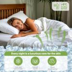 TWK Luxury Sheet Set, Genuine 100% Organic Viscose Derived from Bamboo, Cooling & Breathable, Silky Soft, Bedding Sheets & Pillowcases(White, Queen)