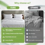 TWK Luxury Sheet Set, Genuine 100% Organic Viscose Derived from Bamboo, Cooling & Breathable, Silky Soft, Bedding Sheets & Pillowcases(White, Queen)