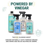 Aunt Fannie's All Purpose Household Cleaner, Multi-surface Spray, Powered by Vinegar for Kitchen, Bath, Windows and Countertops, Lemon Scent (Refill)